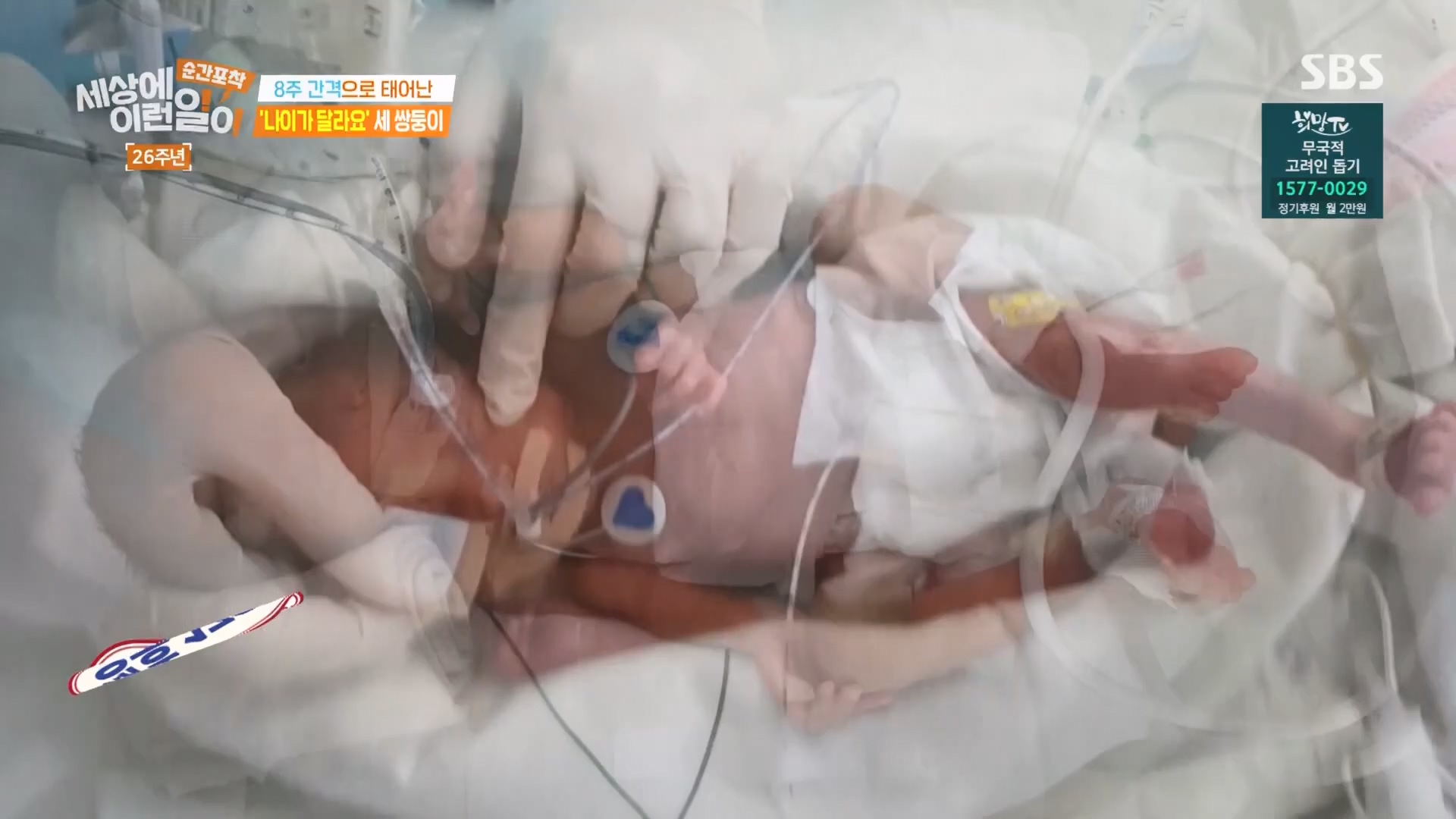 순간포착 세상에 이런일이.최종.E1279.240525p.H264-F1RST.mp4_20240526_150039.690.jpg