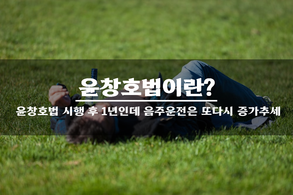  윤창호법이란? 윤창호법 시행 후 1년인데 음주운전은 또다시 증가추세