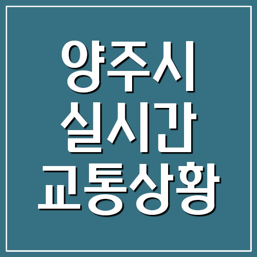 양주시 실시간 교통상황 및 CCTV 동영상