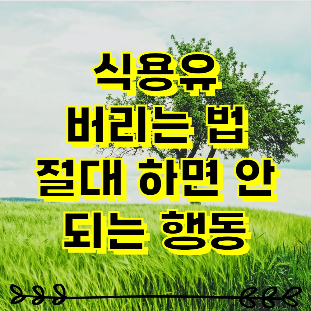 식용유 버리는 법 절대 하면 안 되는 행동