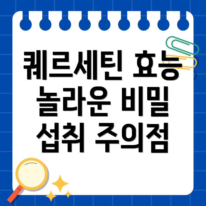 퀘르세틴