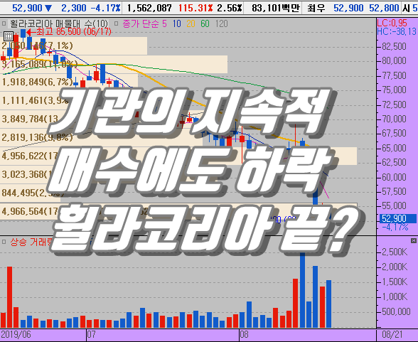  휠라코리아 주가 하락 원인은 ?