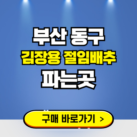 부산 동구 절임배추 사전예약 구입하는곳 ❘ 김장배추 파는곳 가격보기