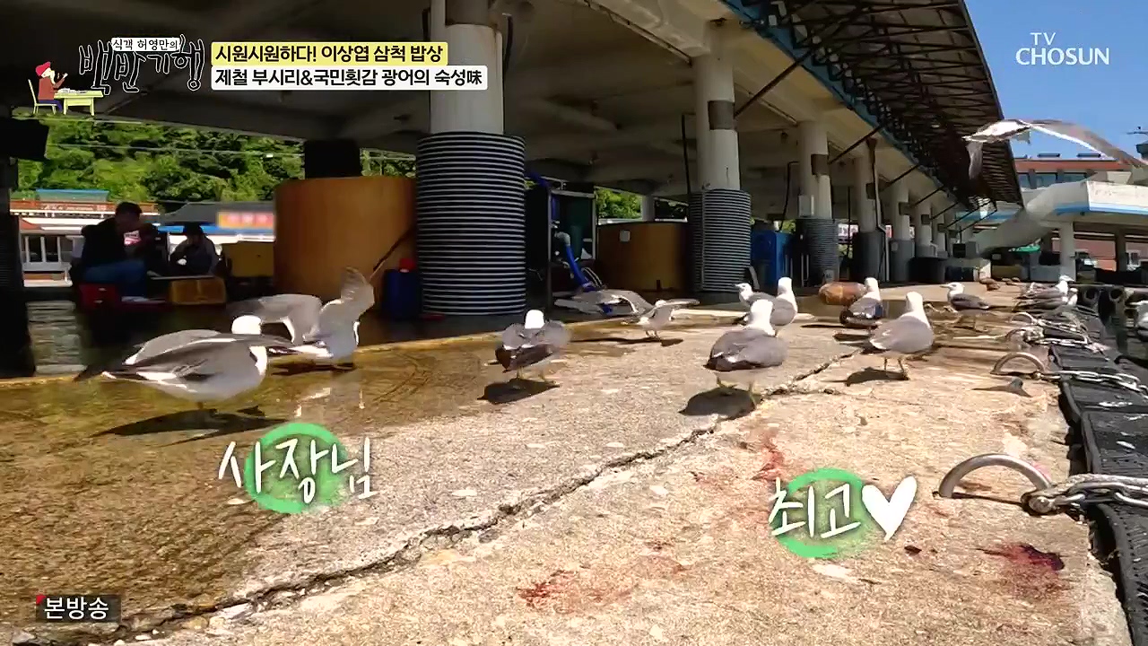 식객 허영만의 백반기행.E252.240617p-NEXT.mp4_20240617_193959.771.jpg