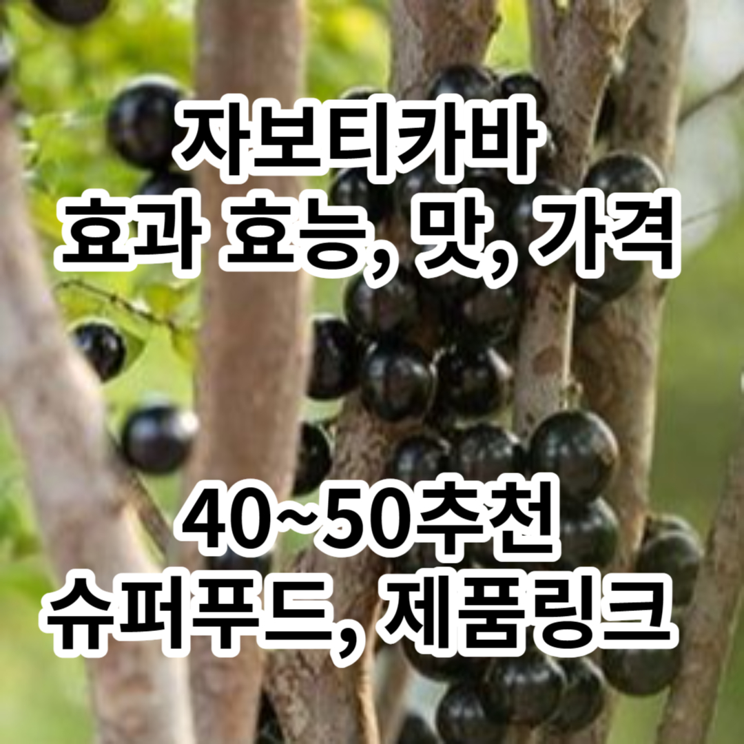  자보티카바 효과, 효능, 맛, 가격 : 40~50대 추천 슈퍼푸드, 특이한 과일? 우리 몸에 특별한 과일!!