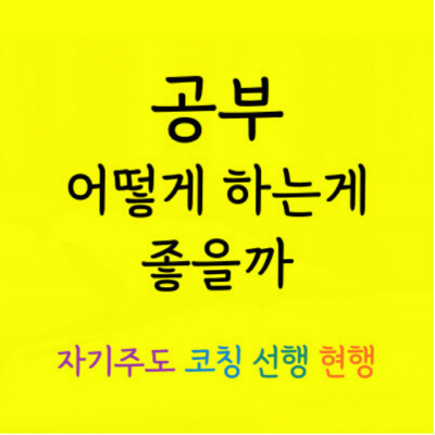  사정동 고등학생 수학과외 산성동 중학생 영어과외 중등고등 예비중 예비고 새학기 암기과목 방학 시험 내신관리 국어과외