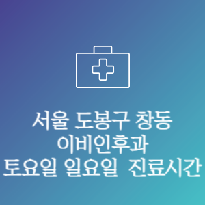 서울 도봉구 창동 이비인후과 주말 토요일 일요일 문여는 병원 진료시간