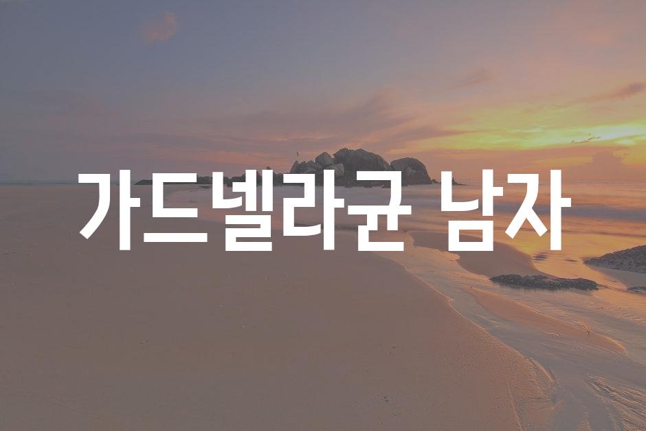 샘플 (77)