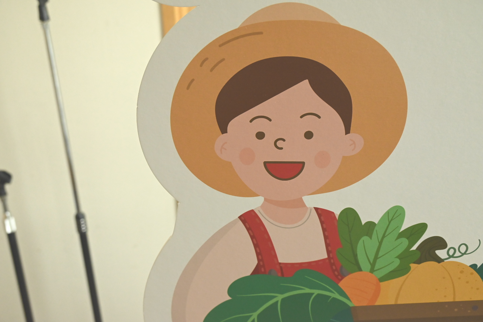  실물보다 TV에서 뚱뚱하게 나오는 이유