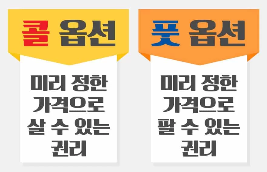 콜 옵션/풋 옵션