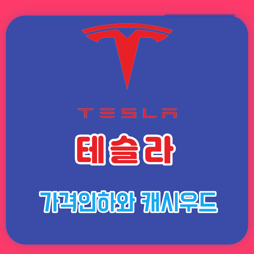  테슬라 가격인하와 캐시우드가 예측하는 테슬라 주식 13배 성장