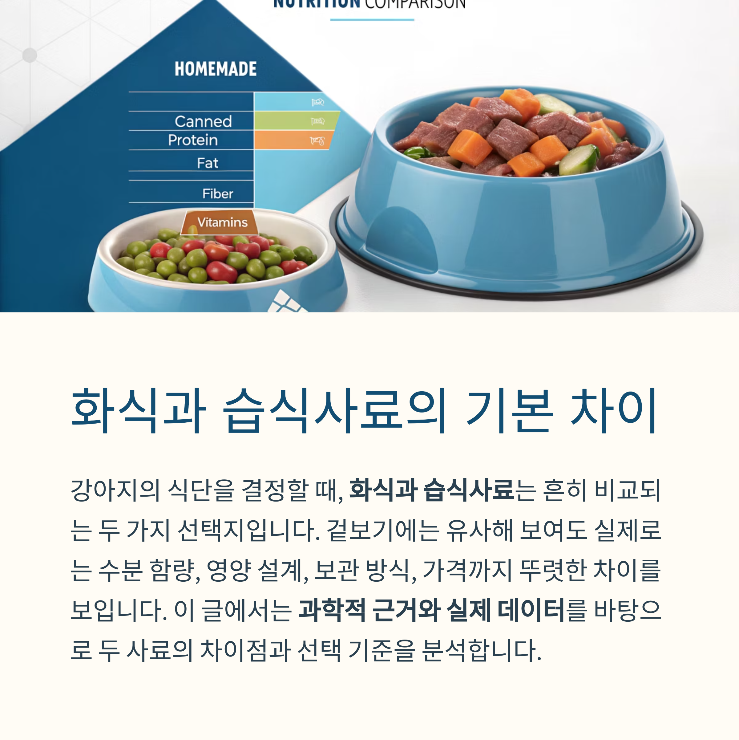 화식과 습식사료의 기본 차이