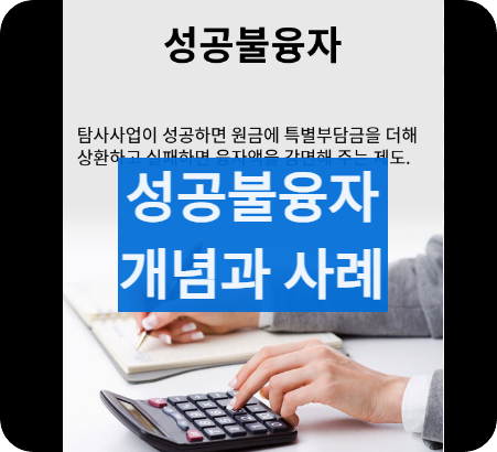 성공불융자사례