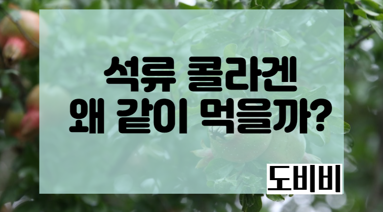 석류 콜라겐 효능