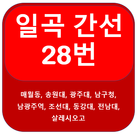  일곡 28번 버스노선 정보(송원대,광주대,조선대,전남대)