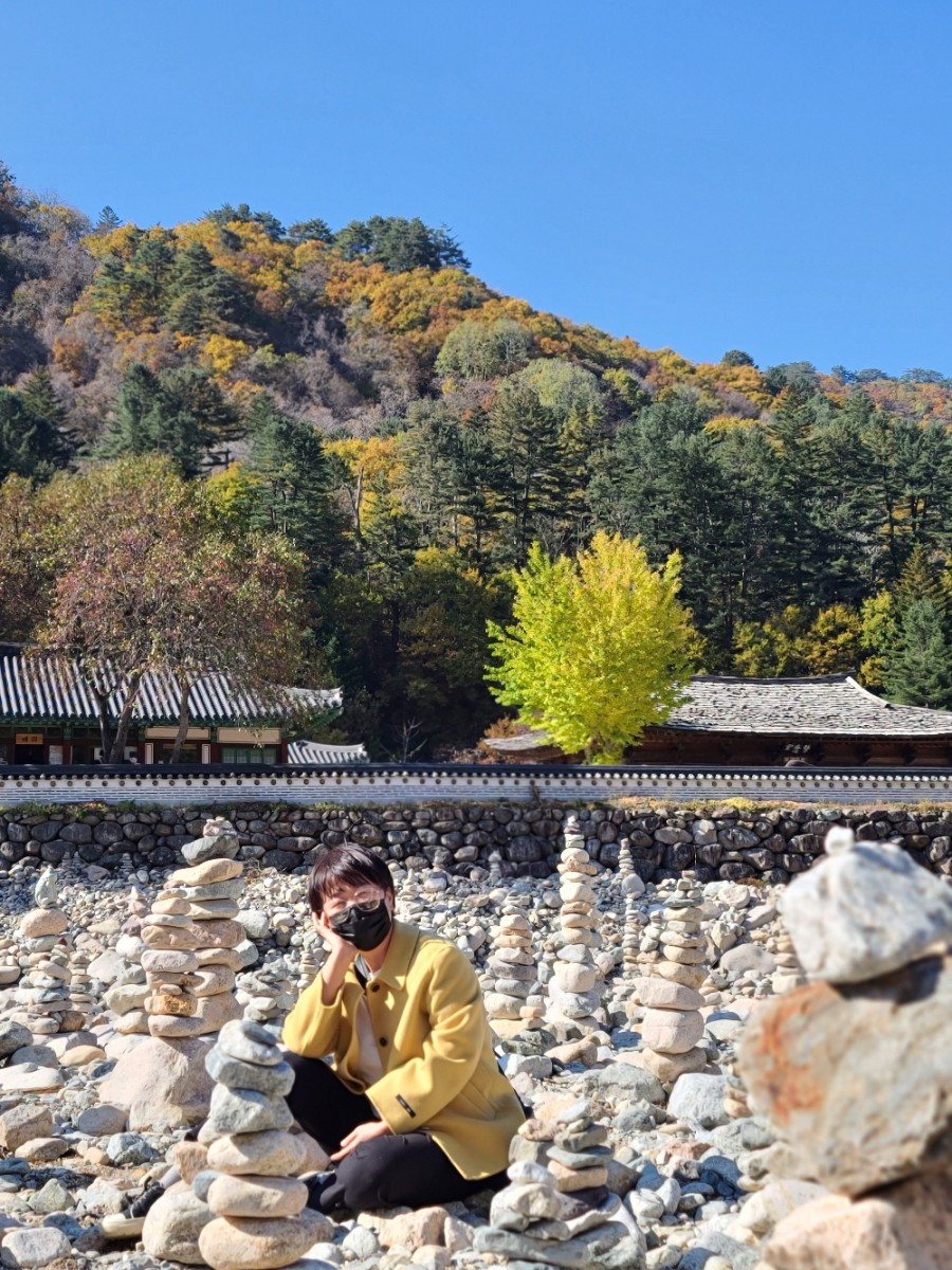 백담사 단풍 멋지다 ( 셔틀버스안내 ) 강원도 인제 여행 / 설악산 44