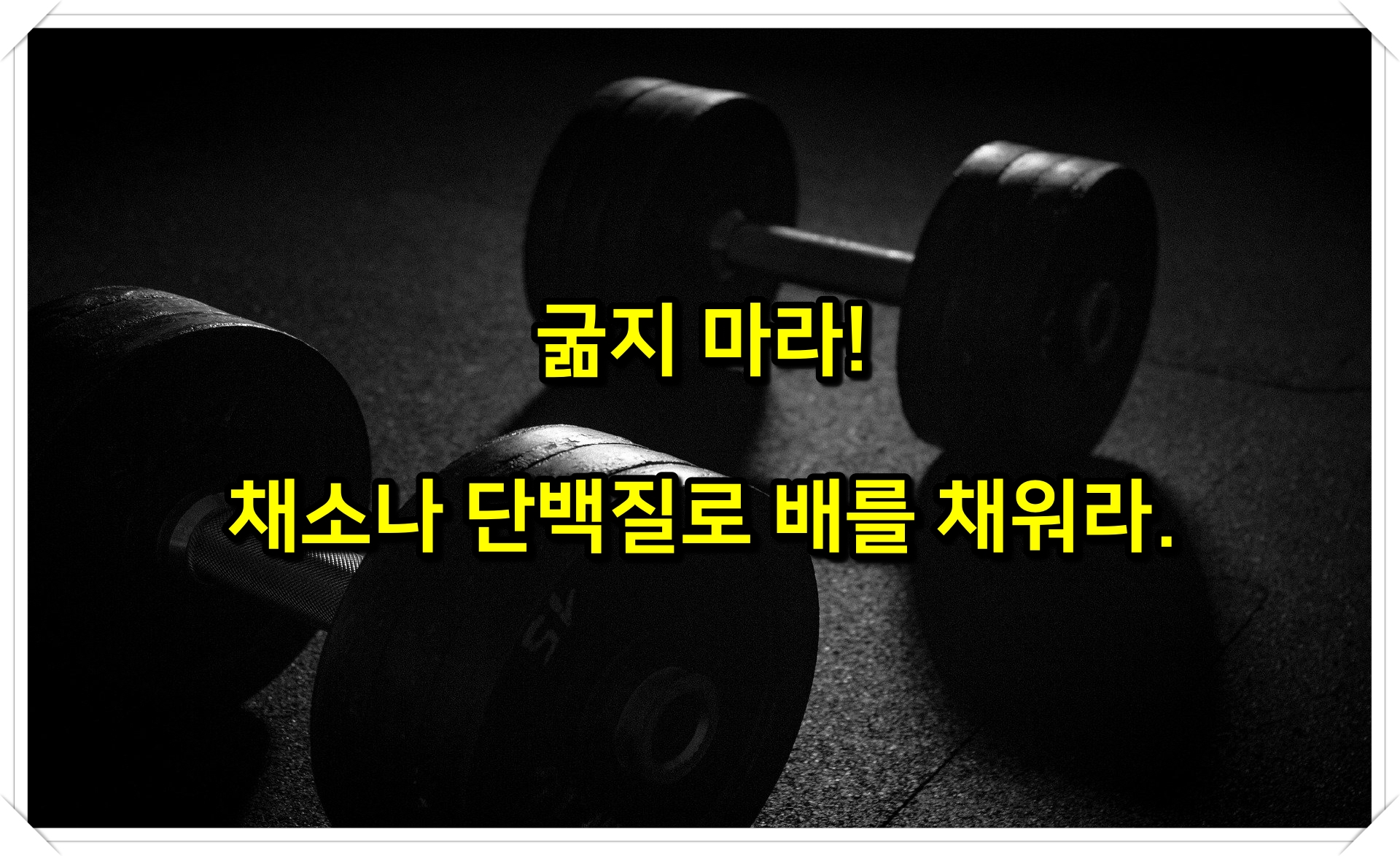 김종국 헬스 운동 다이어트 어록 명언 팁 5
