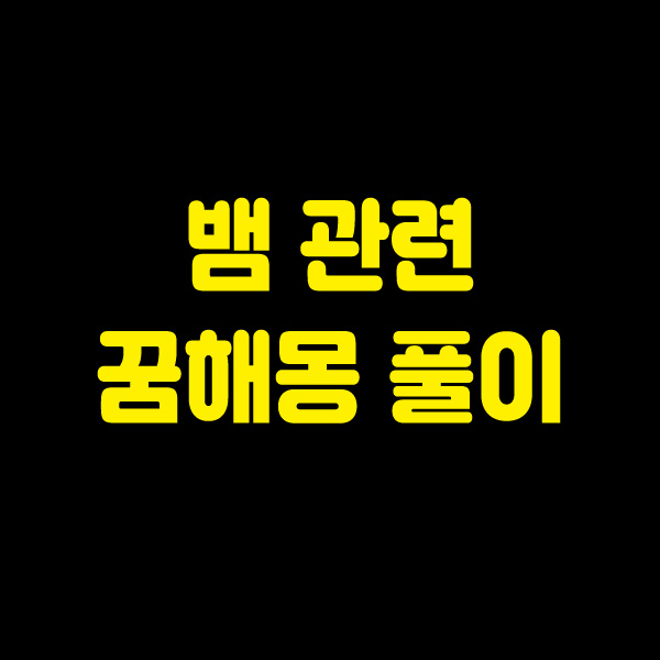  뱀 꿈해몽 풀이