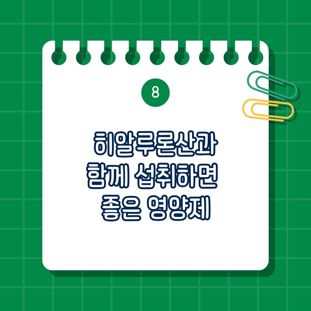 히알루론산(Hyaluronic Acid)과 함께 섭취하면 도움 되는 영양제, 함께 복용하면 좋은 성분