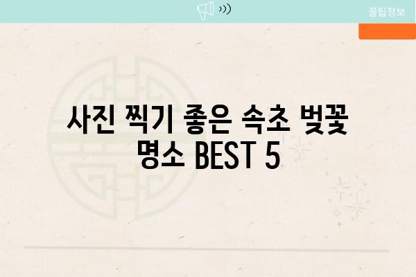 사진 찍기 좋은 속초 벚꽃 명소 BEST 5