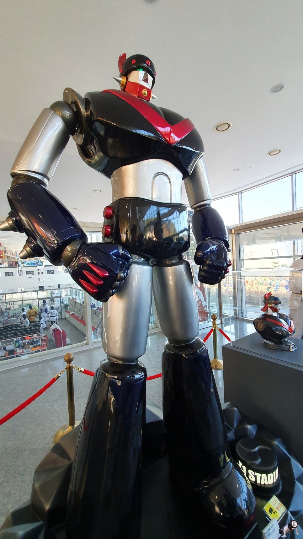 전북태권도 전북 무주 31