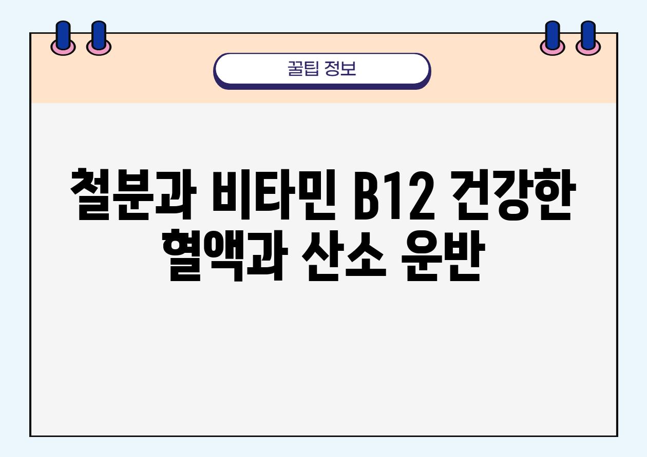 철분과 비타민 B12 건강한 혈액과 산소 운반