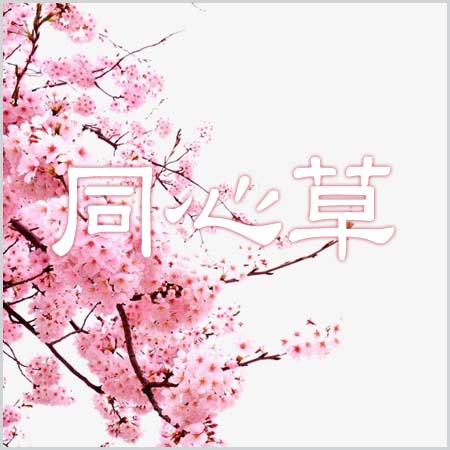 동심초 이미지