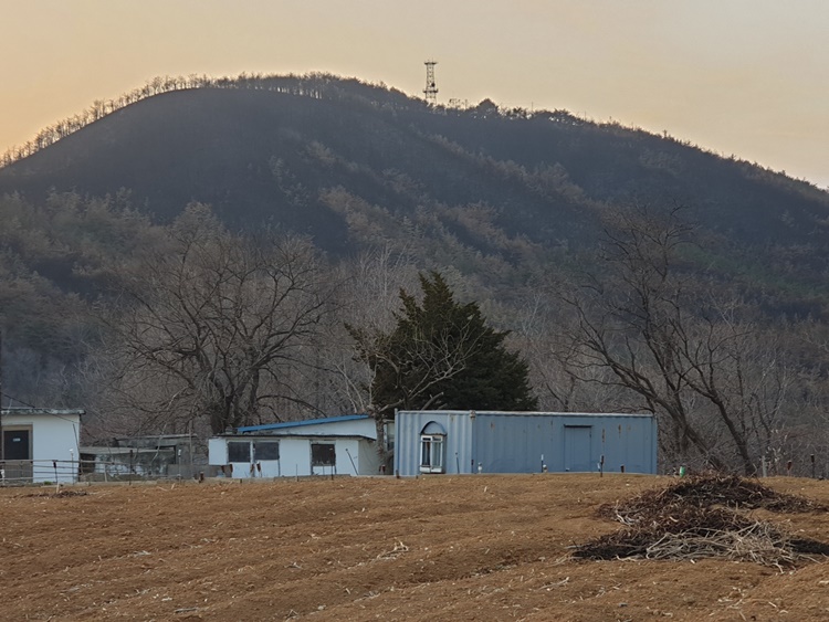 산불