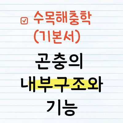 곤충의 내부구조와 기능