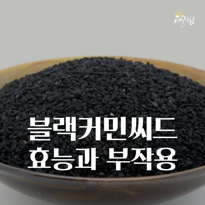  [매일아침좋은글] 블랙커민씨드 효능과 부작용에 대해 알아보자