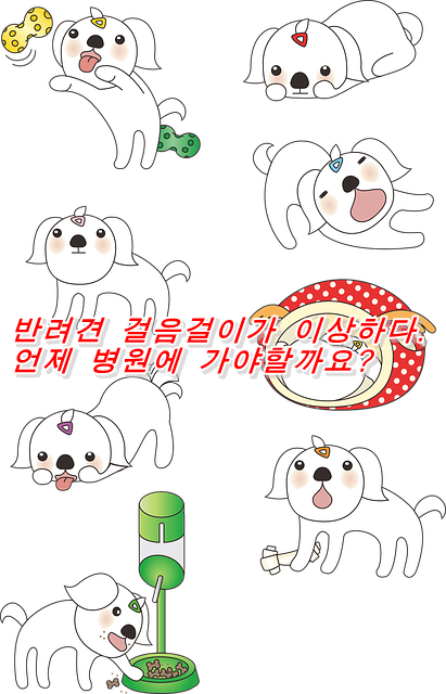  반려견 걸음걸이가 이상하다.언제 병원에 가야할까요?