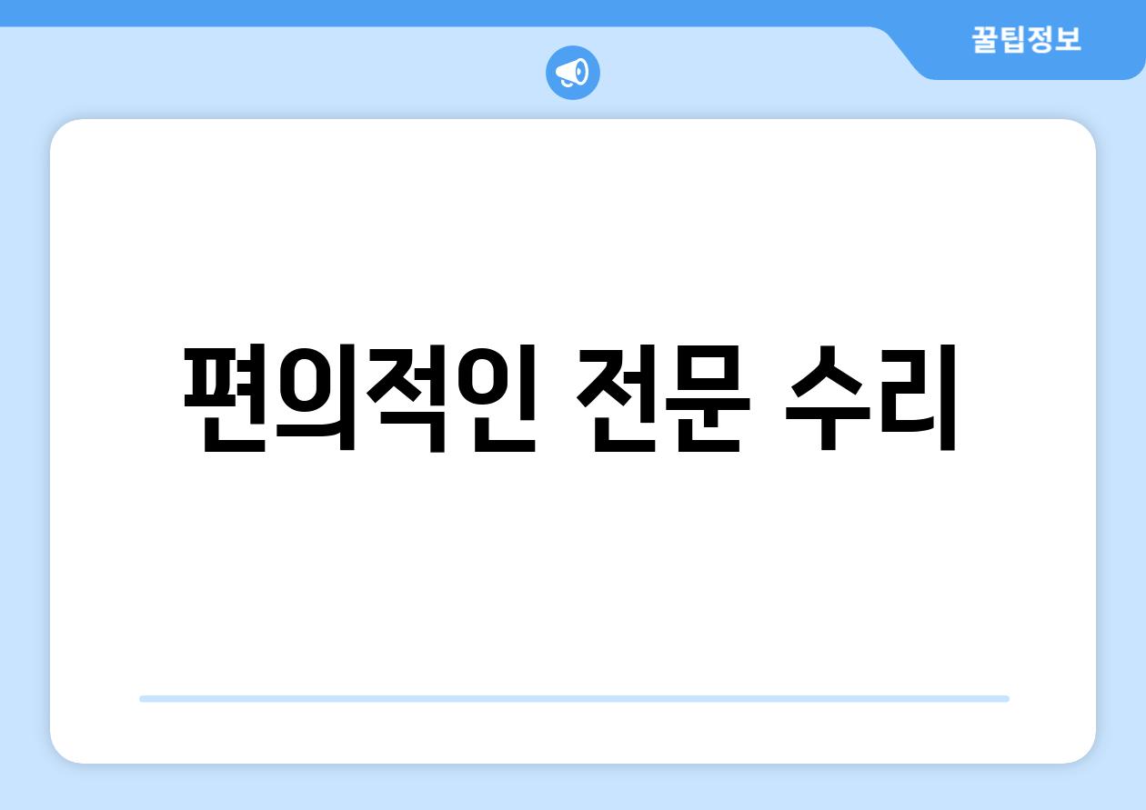 편의적인 전문 수리