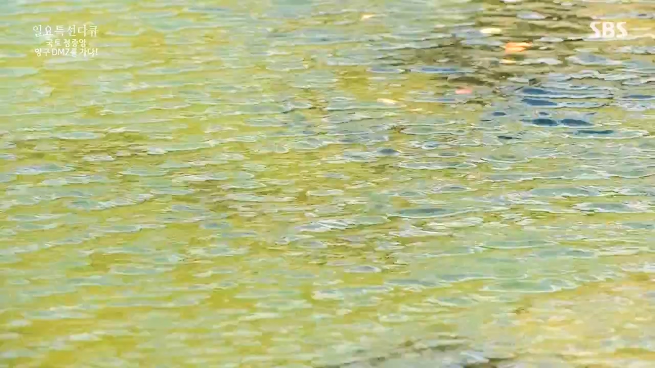 일요특선 다큐멘터리.E344.231204p-NEXT.mp4_20231206_194848.516.jpg