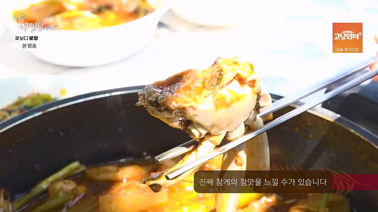 나는 자연인이다.E608.240606p-NEXT.mp4_20240606_164042.934.jpg