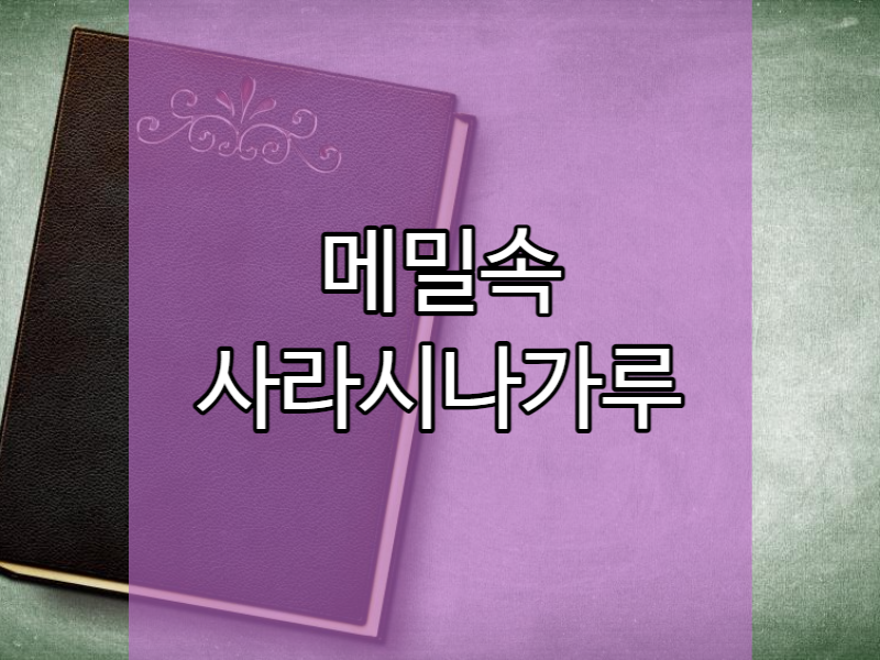  사라시나소바 뜻 사라시나는 무었인지 알아보기!