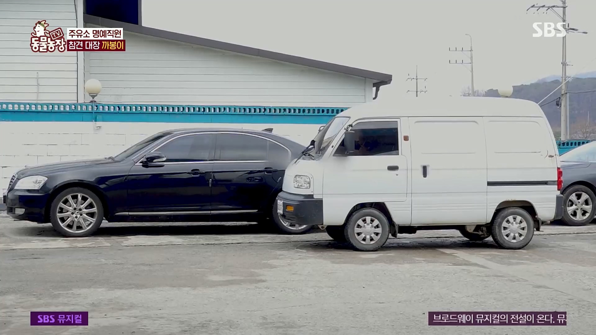 TV 동물농장.E1102.230101p.H264-F1RST.mp4_20230101_182836.746.jpg