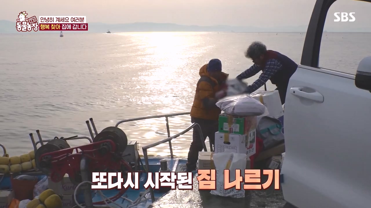 TV 동물농장.E1171.240513p-NEXT.mp4_20240512_163328.583.jpg