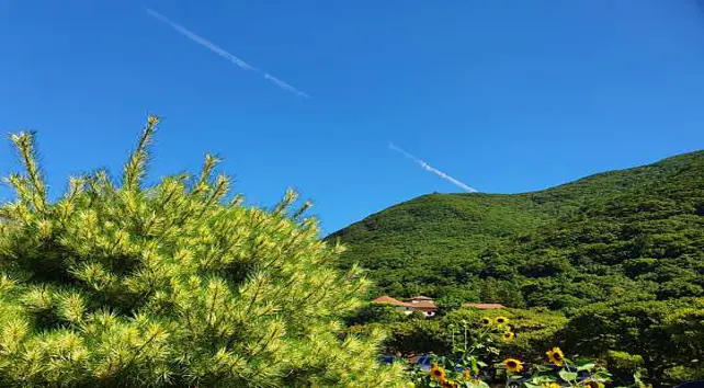 완도수목원