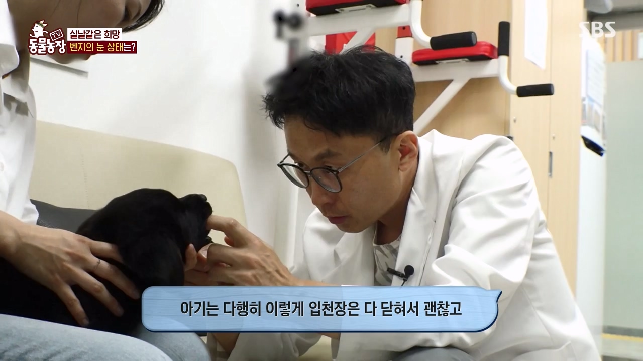 TV 동물농장.E1131.230731p-NEXT.mp4_20230730_190952.488.jpg