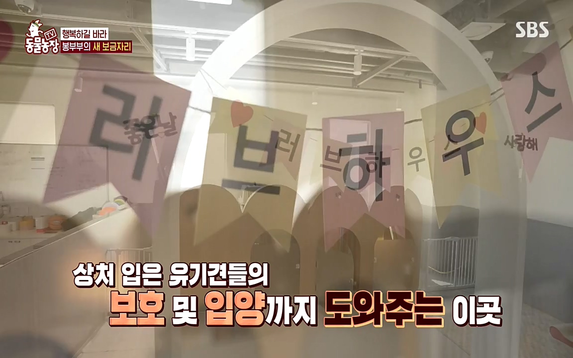 TV 동물농장.E1070.220523p-NEXT.mp4_20220522_182040.777.jpg