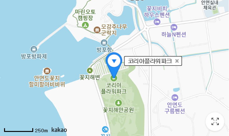 2024-태안-튤립축제-코리아플라워파크