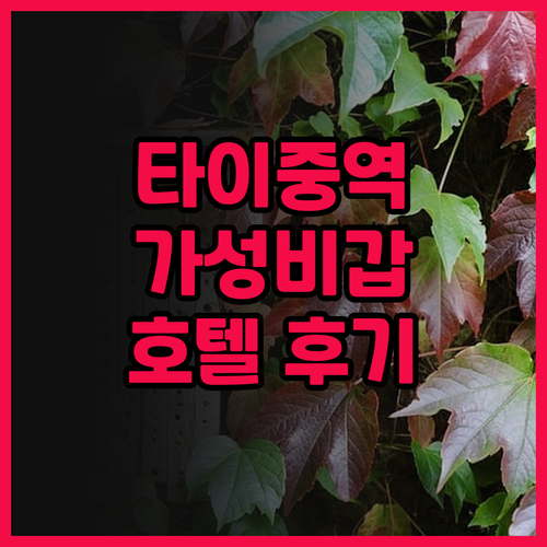 타이중 시티인 호텔 플러스, 가성비 