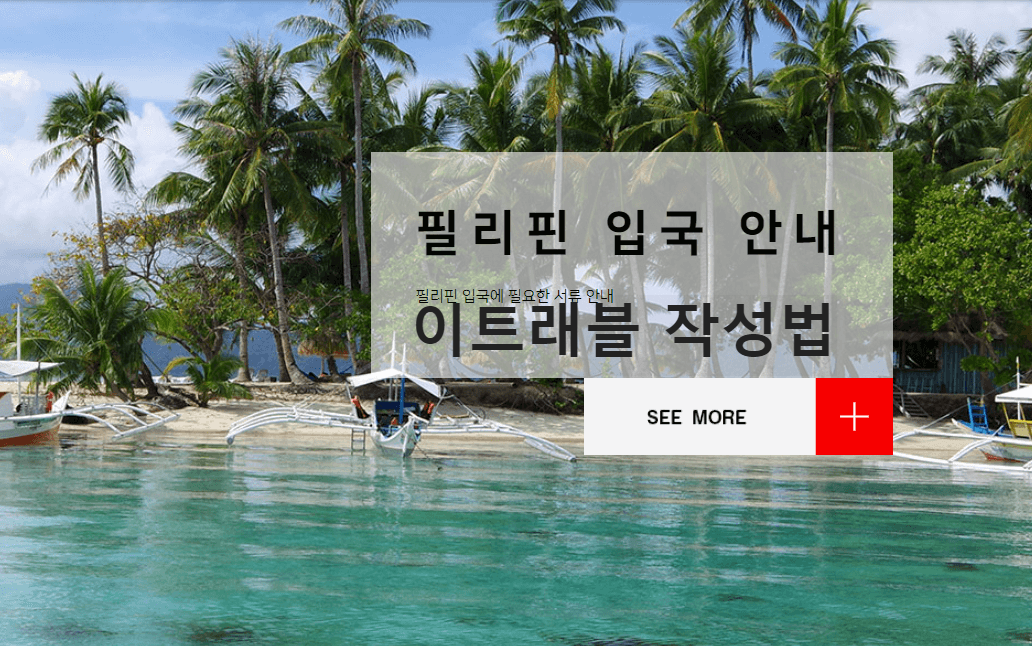  c2023년 필리핀 이트래블c 작성법 / 필리핀 입국정보 / 필요 서류