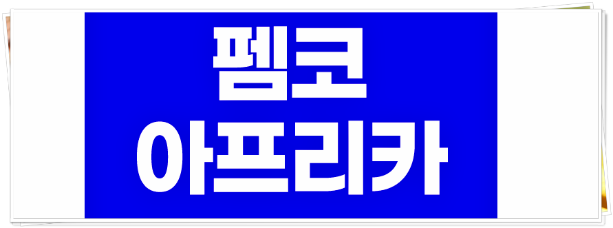  아프리카 펨코 :: 핵심 총 정리