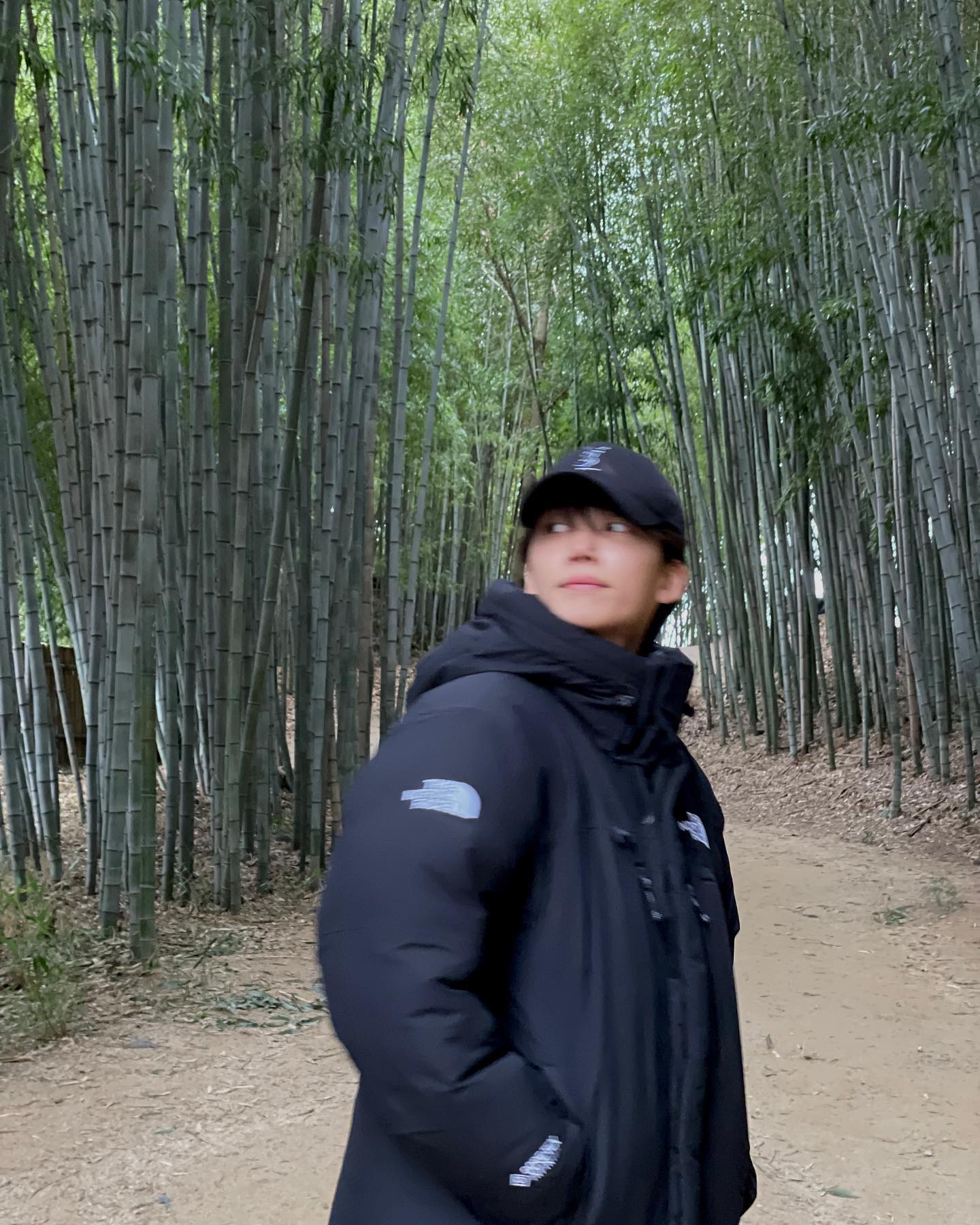 정한인스타대나무길산책