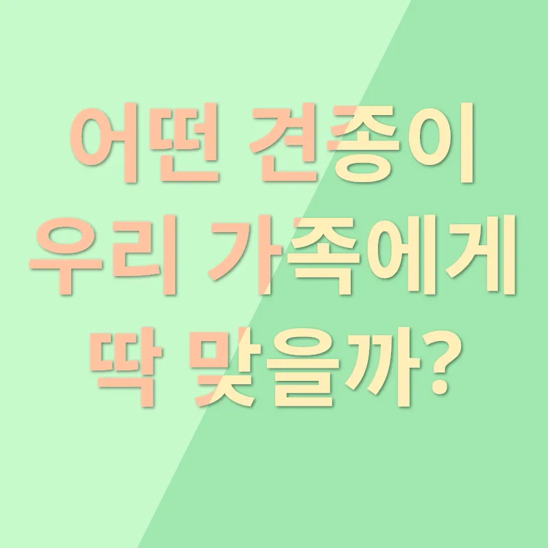 반려견 입양_1
