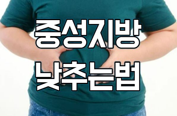  중성지방 낮추는법 12가지 정리