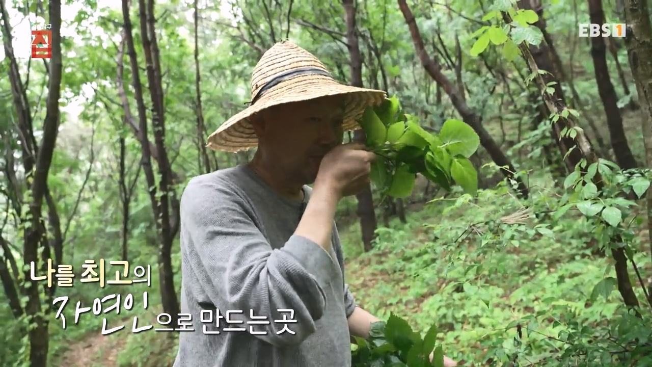 TV - 전 국민의 평생학교 EBS낭만자연인의 집.mp4_20230823_203506.456.jpg