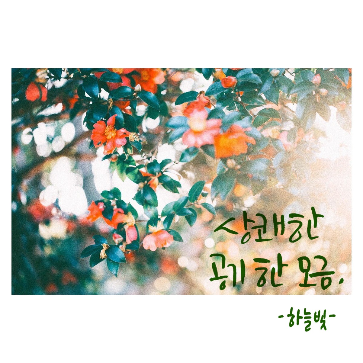  상쾌한 공기 한모금:-)