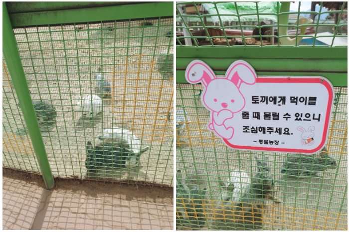 곡성 섬진강 기차마을 동물농장